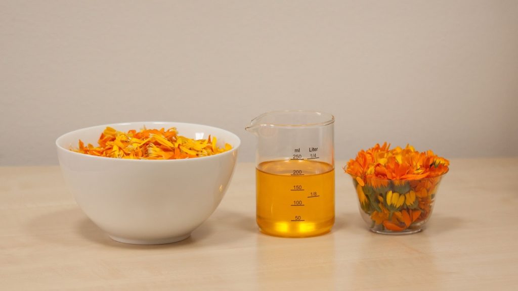 Calendula 4 calendula officinalis 1695980 1920