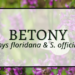 Betony 6 Betony