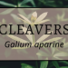 Cleavers 2 Cleavers
