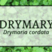 Drymary 2 Drymary