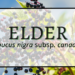 Elder 2 Elder