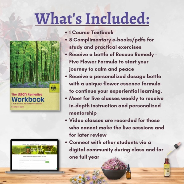 Flower Essences for Emotional Health with Emily Ruff - Fall 2025 - Image 2