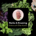 Herbs and Dowsing with Ellen Kamhi