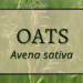 Oats 2 Oats