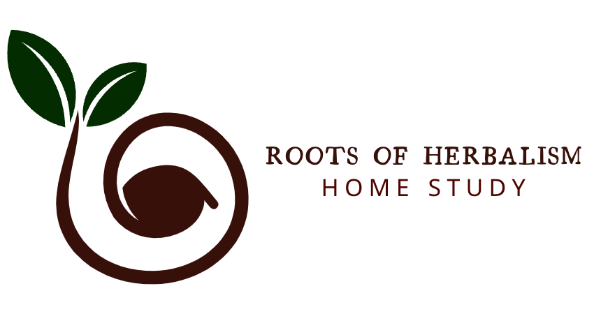 Roots of Herbalism Home Study 2 graphic of a seedling with text roots of herbalism home study