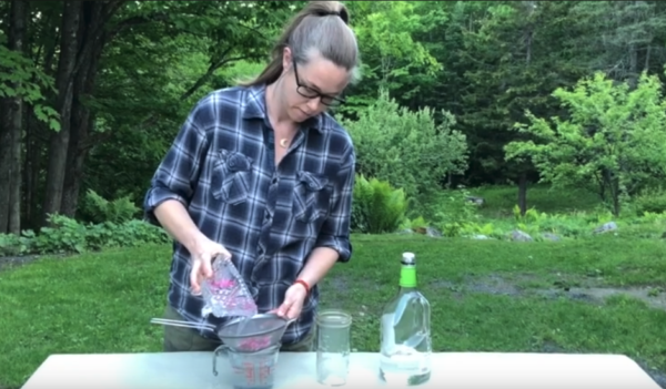 Flower Essences for Emotional Health with Emily Ruff - Fall 2025 - Image 3