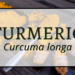 Turmeric 2 Turmeric