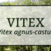 Vitex 6 Vitex