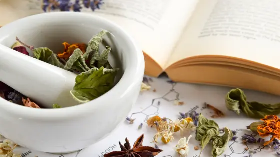 Home 6 Herbalism Training